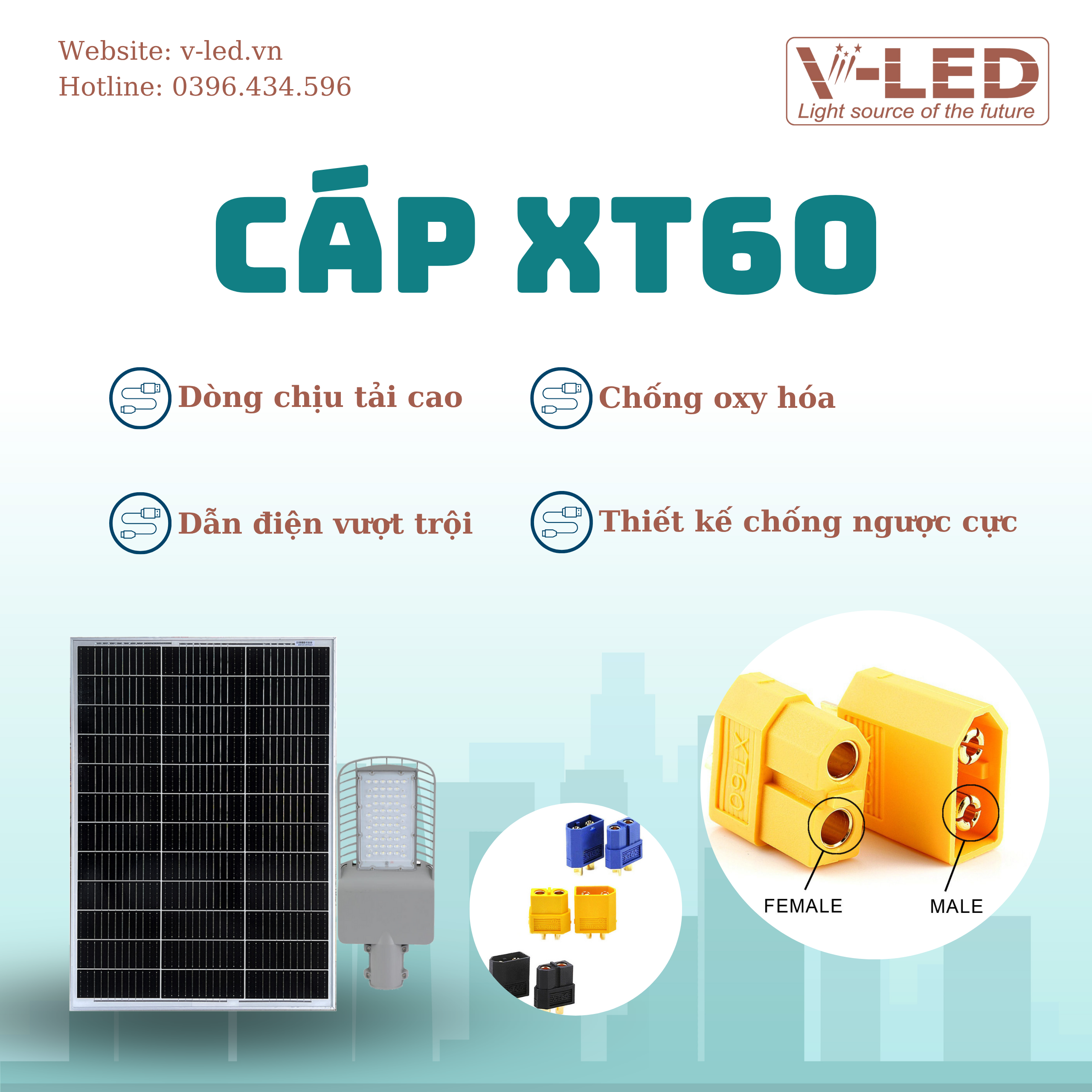 Đèn đường năng lượng mặt trời V-LED S40W - Ảnh 7